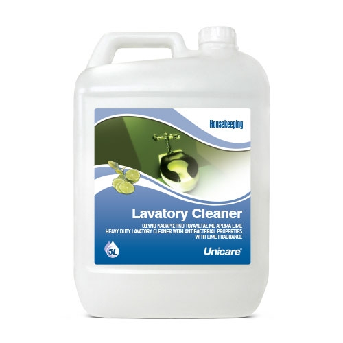 Lavatory Cleaner