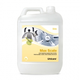 Max Scale