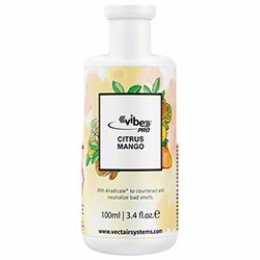 Vibe Refill Citrus Mango